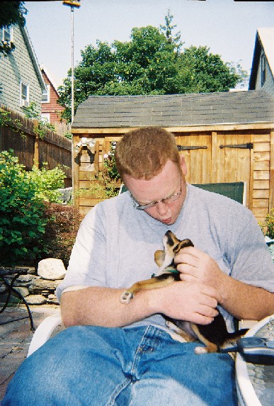 Loving Dog