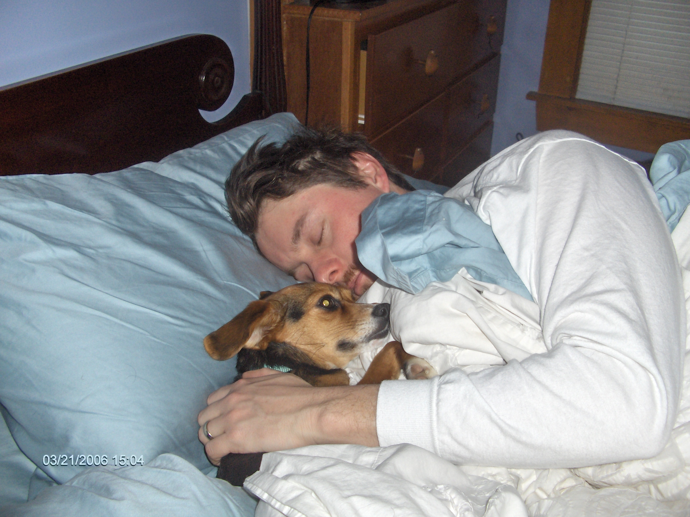 Lazy Man, Lazy Dog